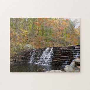 Puzzle Cascade à Laurel Hill State Park I