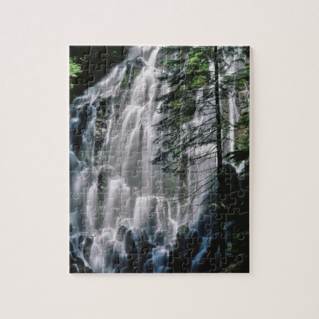 Puzzle Cascade dans la forêt, Oregon (Vertical)