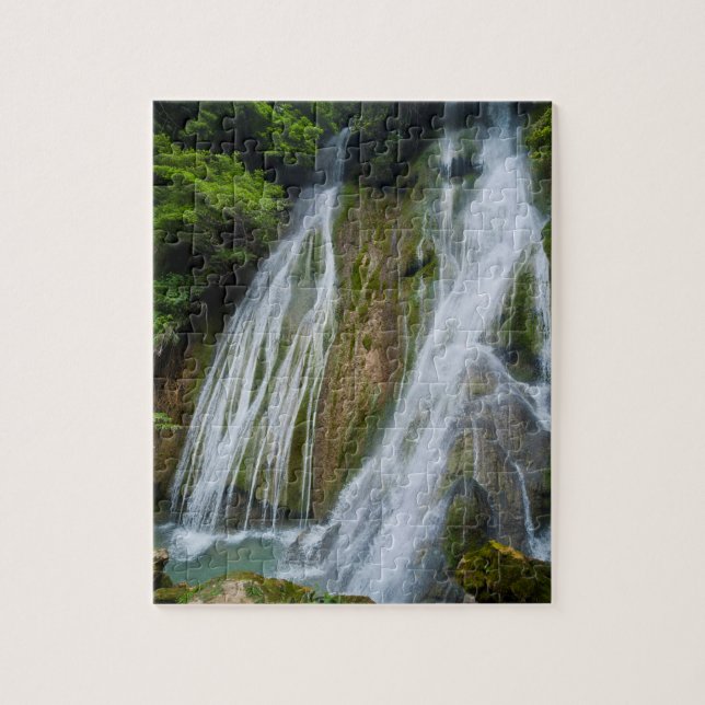 Puzzle Cascade de Mele-Maat dans la jungle (Vertical)