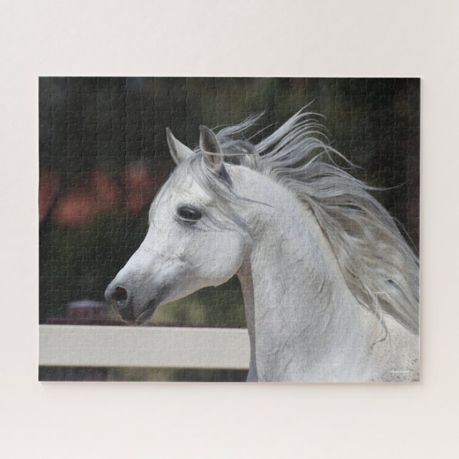 Puzzle Casque de Stallion arabe gris Mane Flower (Horizontal)