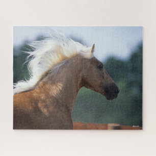 Puzzle Casque Palomino Rocky Mountain Horse