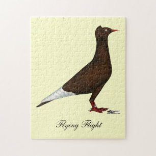 Puzzle Casquette de vol Pigeon