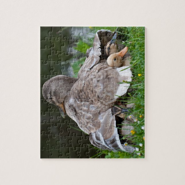 Puzzle Casse-tête : Canard et canetons de Mallard (Vertical)