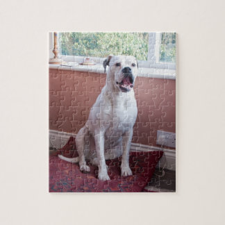 Puzzle Casse-tête : Chien blanc de boxeur