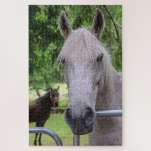 Puzzle Casse-tête de cheval