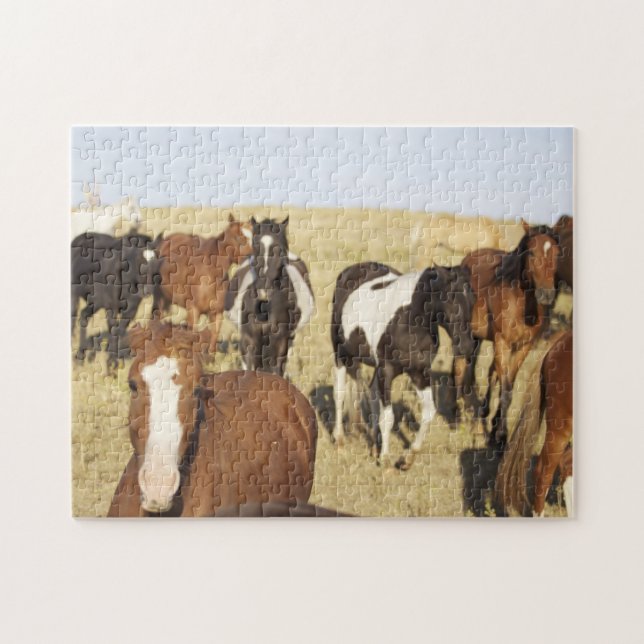 Puzzle Casse-tête de cheval sauvage (Horizontal)