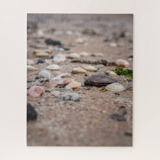 Puzzle Casse-tête de coquillages sur la plage