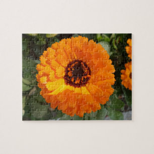 Puzzle Casse-tête de Fleur Orange
