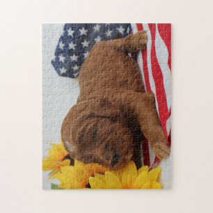 Puzzle Casse-tête de Goldendoodle