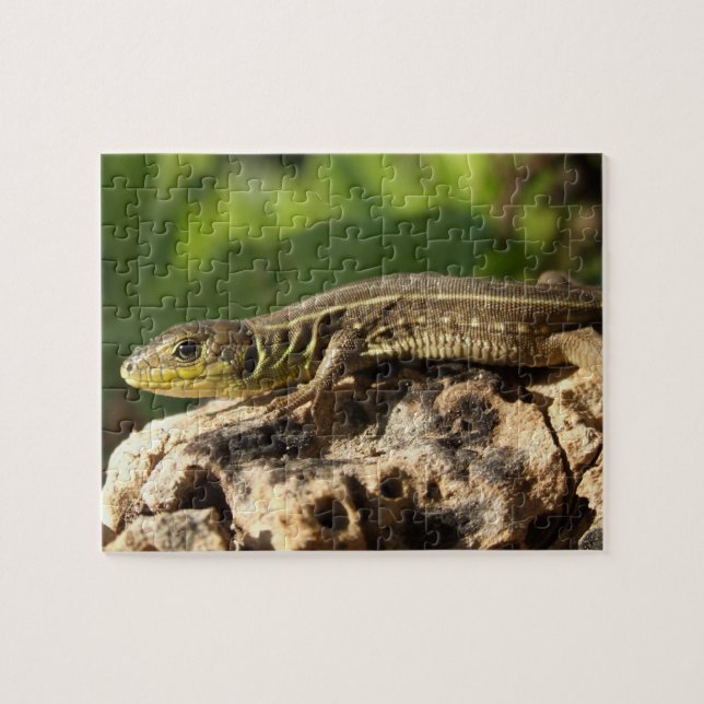 Puzzle Casse-tête de lézard (Horizontal)