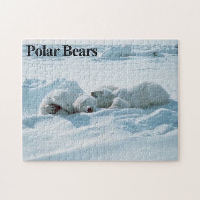 Puzzle Casse-tête de l'ours blanc 6 (Horizontal)