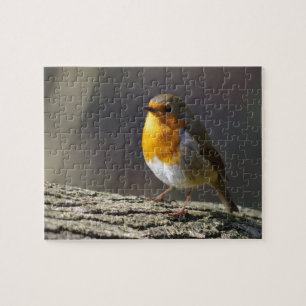 Puzzle Casse-tête de Robin