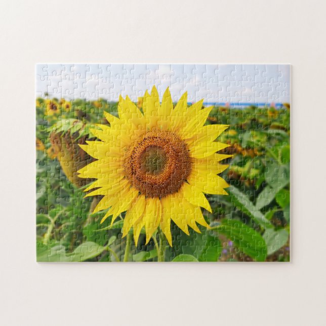 Puzzle casse-tête de tournesol jaune (Horizontal)