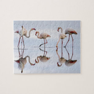 Puzzle Casse-tête des Flamants Roses