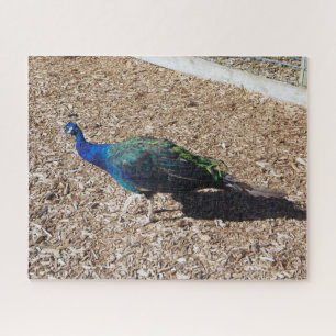 Puzzle casse-tête du paon bleu indien