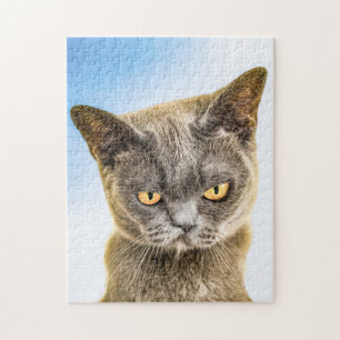 PUZZLE CASSE-TÊTE EN FORME DE CHATON MIGNON GROGNON