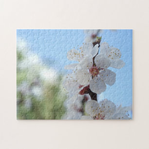 Puzzle Casse-tête Fleurs de Pêcher