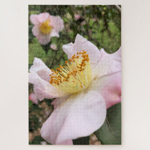Puzzle Casse-tête floral Fleur de Camélia rose