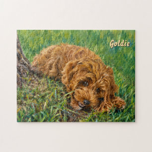 Puzzle Casse-tête Goldie Doodle