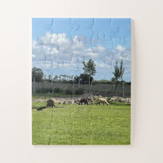 Puzzle Casse-tête Moutons Mignons Vue sur mon jardin Port