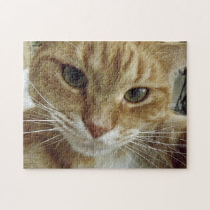 Puzzle Casse-tête orange de chat tigré