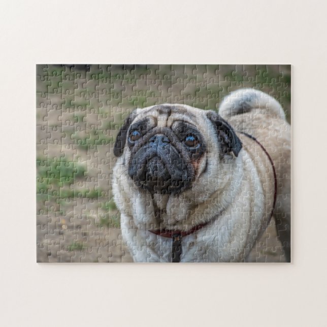 Puzzle casse-tête pour chien carlin (Horizontal)