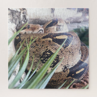 Puzzle Casse-tête Sssnooze