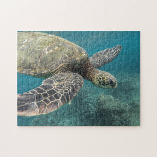 Puzzle Casse-tête Tortue de mer