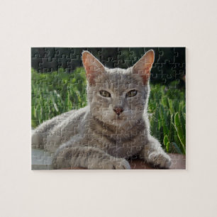Puzzle Cat
