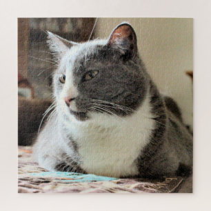 Puzzle Cat