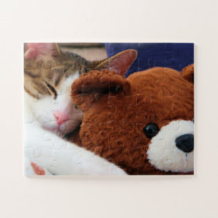 Puzzle Cat Nap Teddy