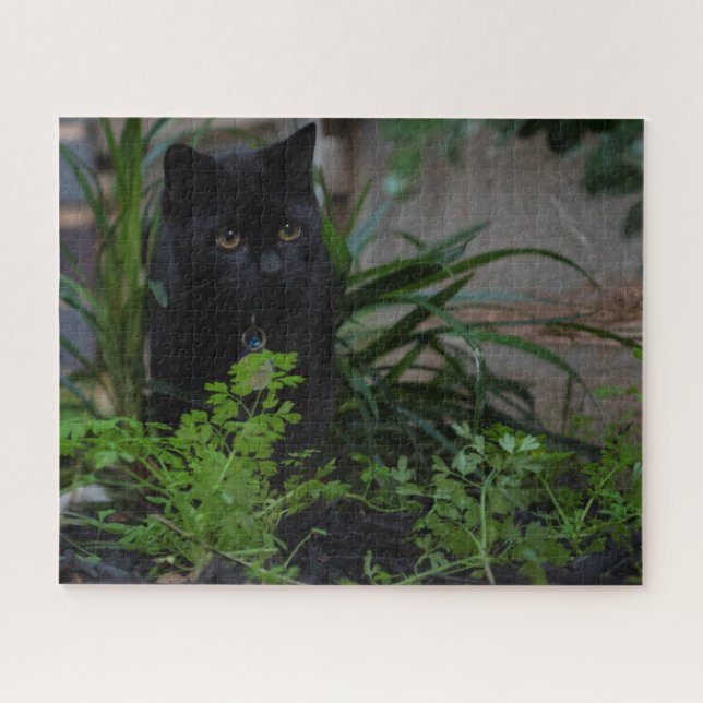 Puzzle Cat noir caché aux Plantes, 520 pièces (Horizontal)
