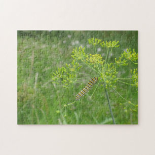 Puzzle Caterpillar