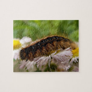 Puzzle Caterpillar