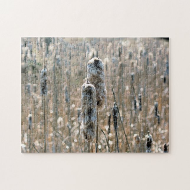 Puzzle Cattails Fluffés Dans La Nature Du Printemps (Horizontal)