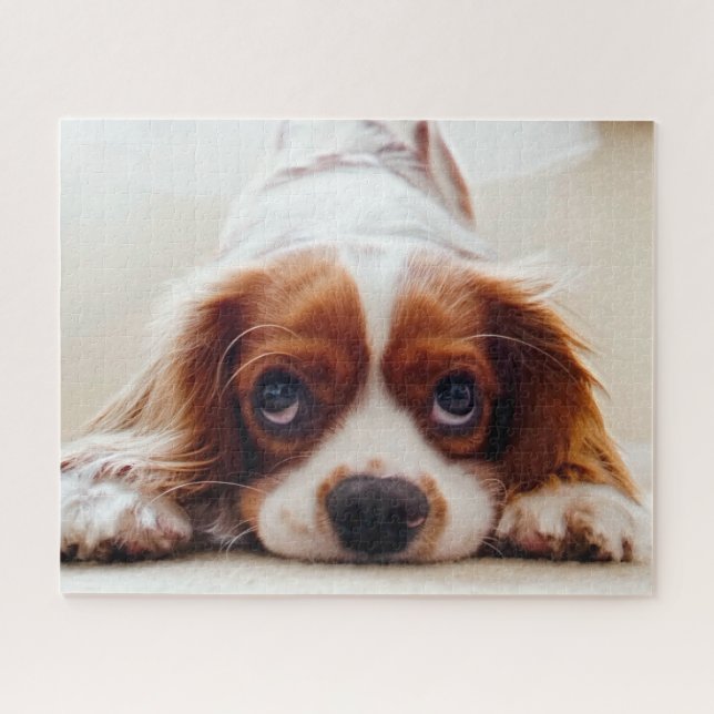 Puzzle Cavalier Charles Spaniel (Horizontal)
