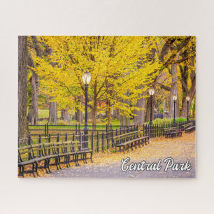 Puzzle Central Park, Manhattan, New York, États-Unis