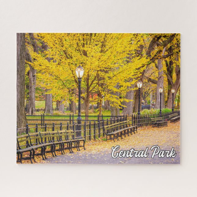 Puzzle Central Park, Manhattan, New York, USA (Horizontal)