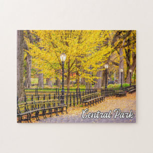 Puzzle Central Park, Manhattan, New York, USA
