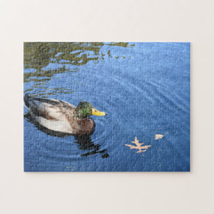 Puzzle Central Park NYC Conservatoire Eau Mallard Canard