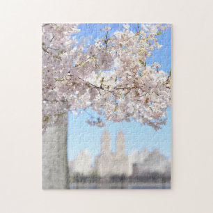 Puzzle Central Park Réservoir Printemps Cerisiers Blossom