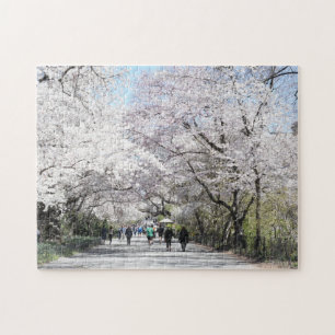 Puzzle Central Park Spring Cherry Blossoms New York NYC