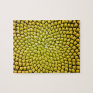 Puzzle Centre du tournesol géant (Helianthus annuus)