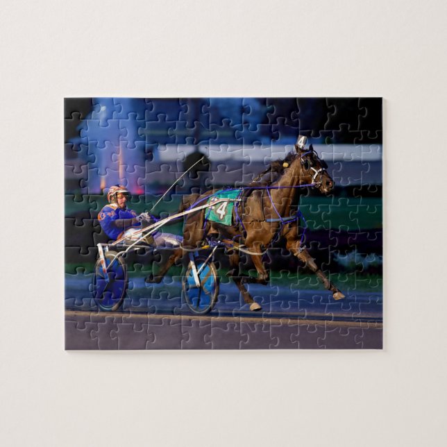 PUZZLE CENTURY ENDEAVOR (Horizontal)