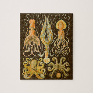 Puzzle Cephalopod poulpe calmar Nature marine