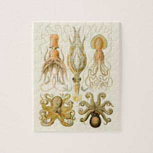 Puzzle Cephalopod poulpe calmar Nature marine