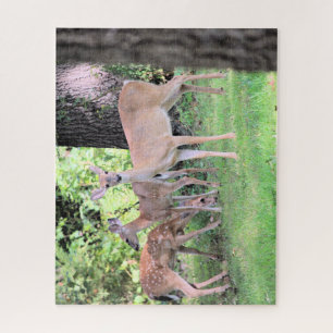 Puzzle Cerf