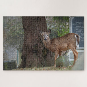 Puzzle Cerf à queue blanche au cimetière