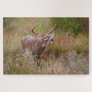 Puzzle Cerf à queue blanche automne au Texas