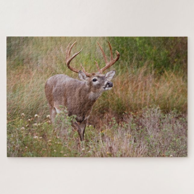 Puzzle Cerf à queue blanche automne au Texas (Horizontal)